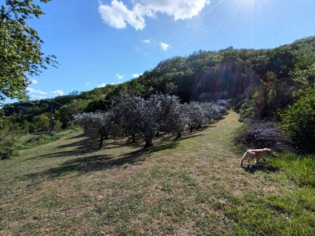 Villetta Bifamiliare in vendita a Todi