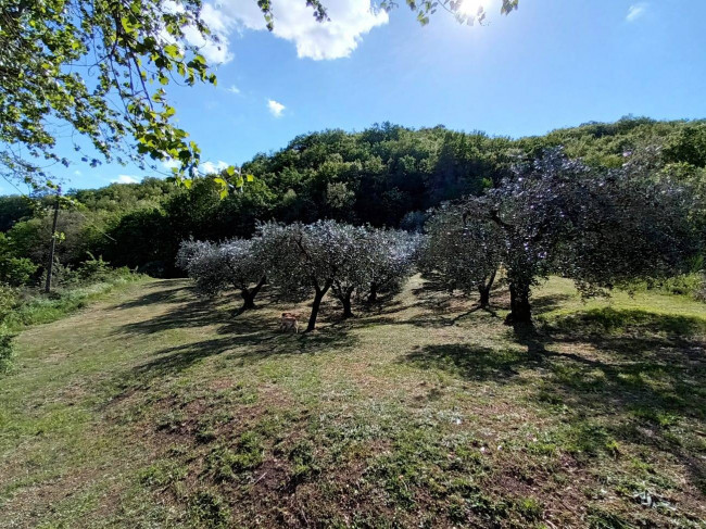 Villetta Bifamiliare in vendita a Todi