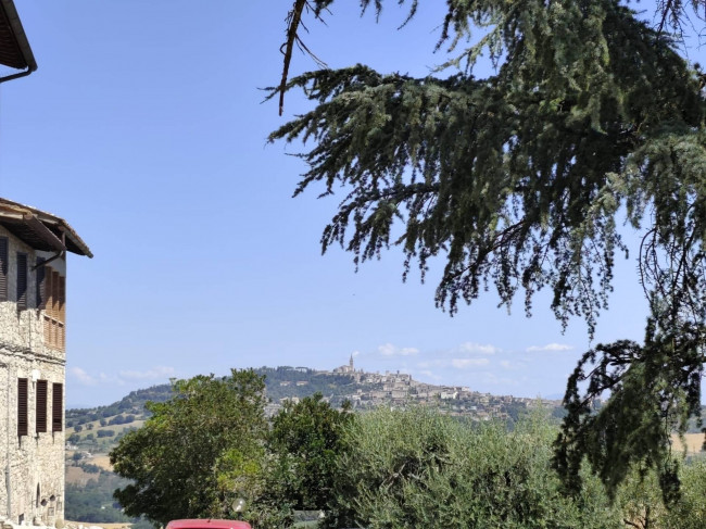 Villetta Bifamiliare in vendita a Todi