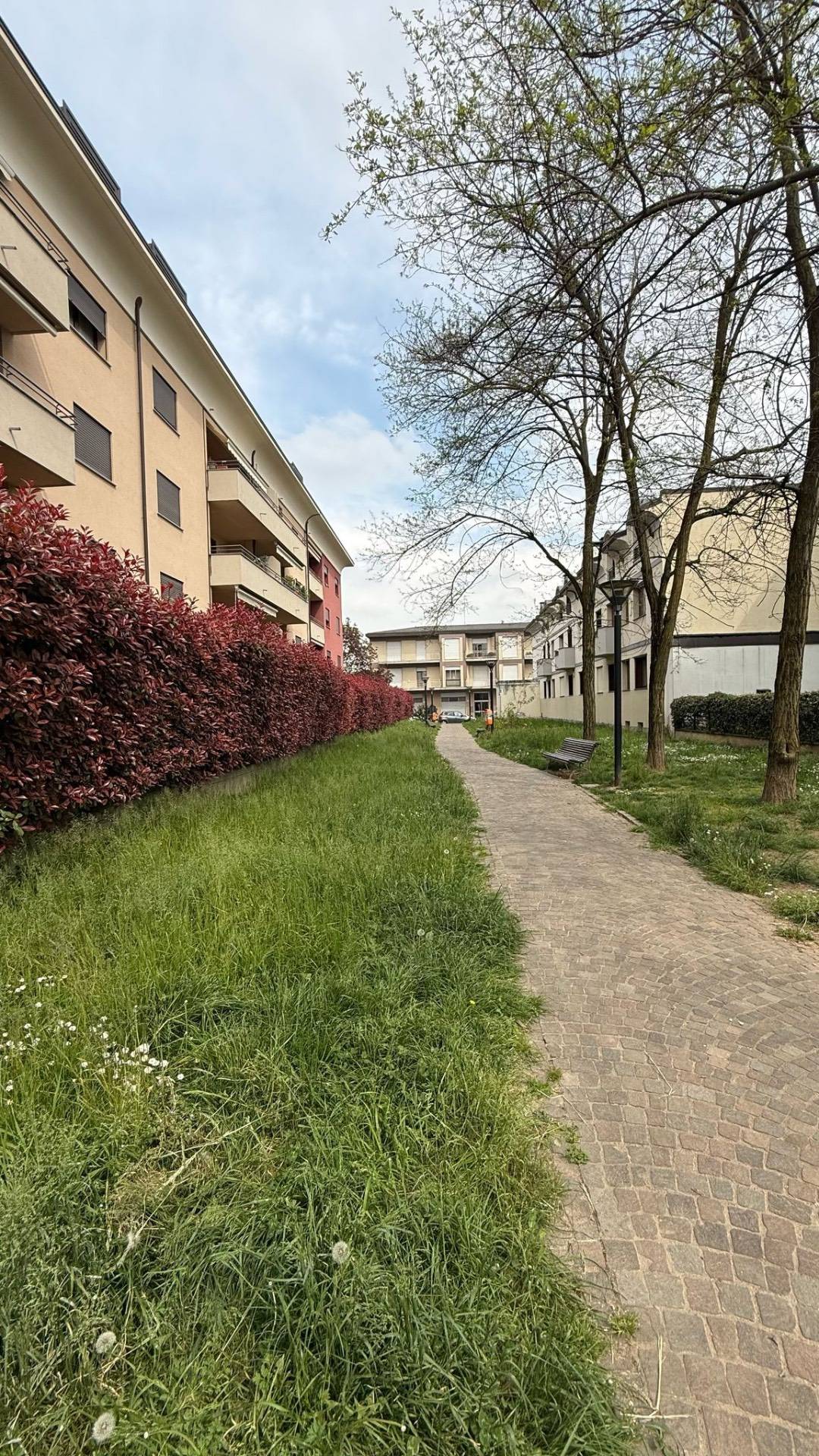 Appartamento in affitto a Lissone (MB)