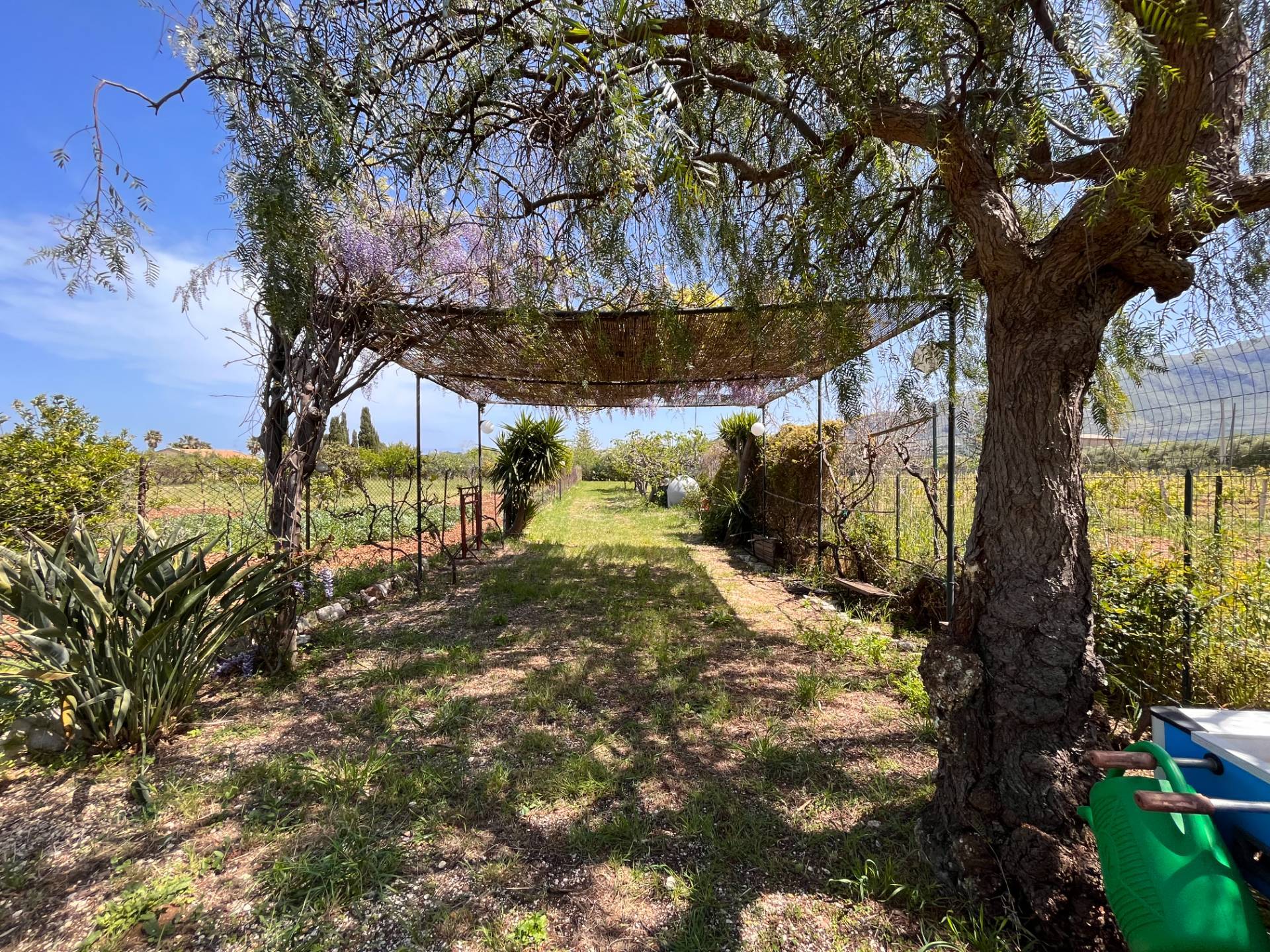 Villa in vendita a Castellammare del Golfo - foto 8