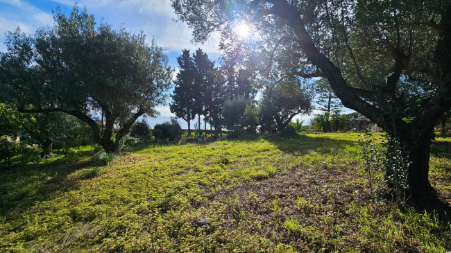 Villa in vendita a Stalettì