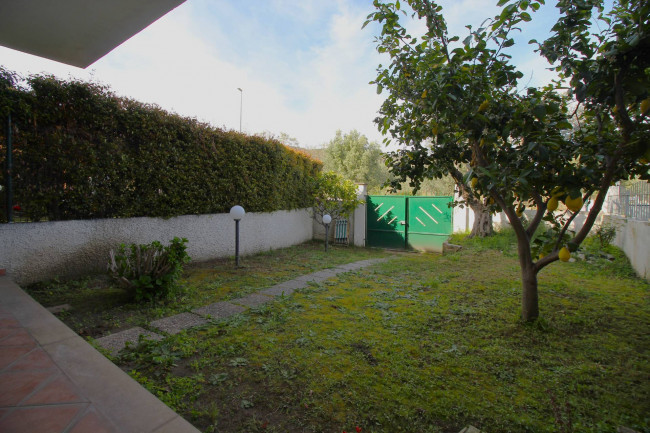 Villette a schiera in vendita a Montauro