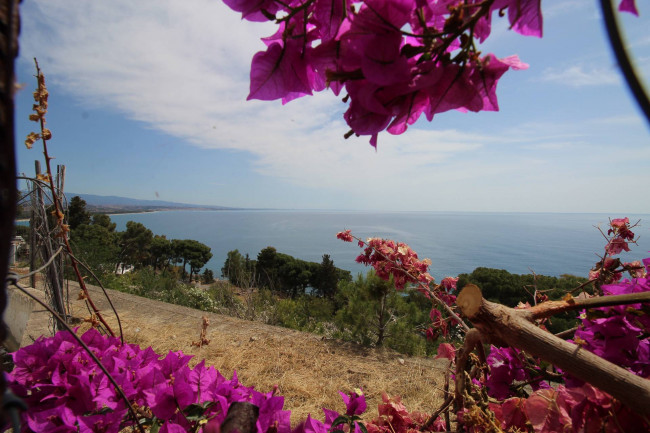 Appartamento in vendita a Stalettì