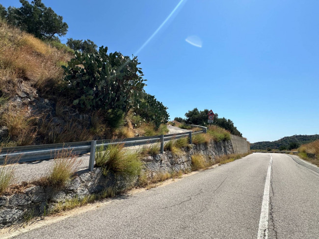 Terreno Agricolo in vendita a Satriano