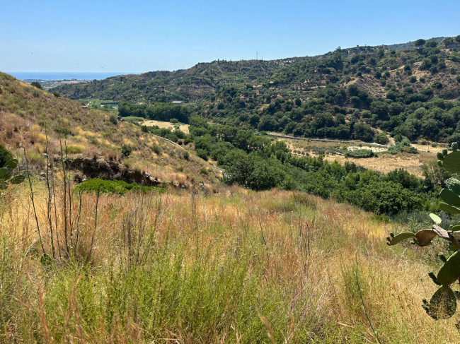 Terreno Agricolo in vendita a Satriano