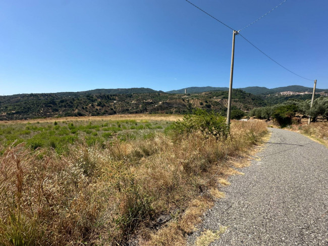 Terreno Agricolo in vendita a Satriano