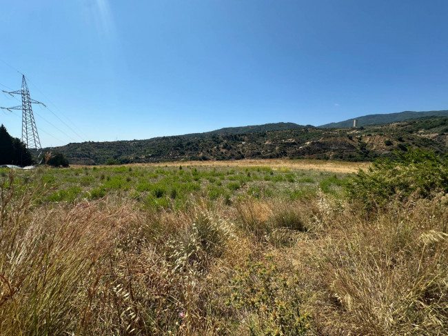 Terreno Agricolo in vendita a Satriano