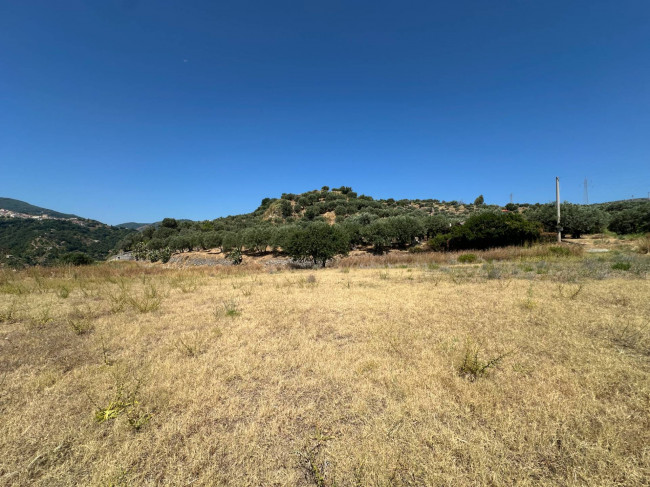 Terreno Agricolo in vendita a Satriano