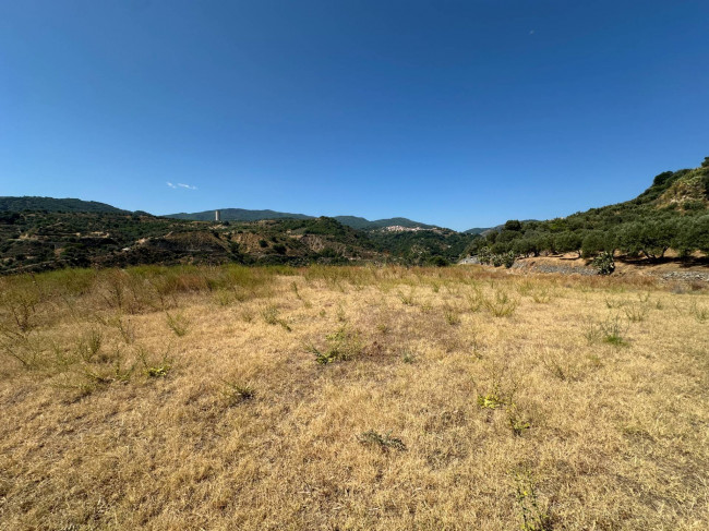 Terreno Agricolo in vendita a Satriano