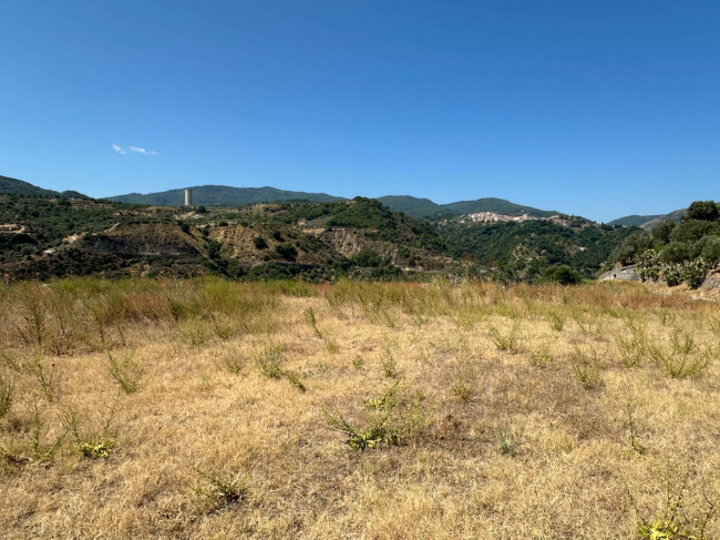 Terreno Agricolo in vendita a Satriano