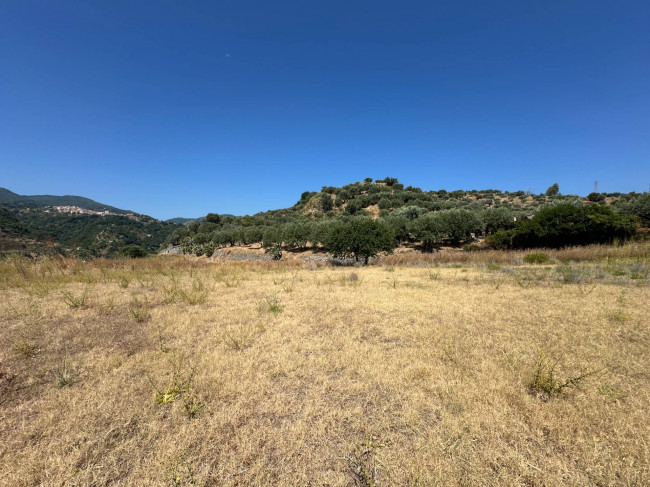 Terreno Agricolo in vendita a Satriano