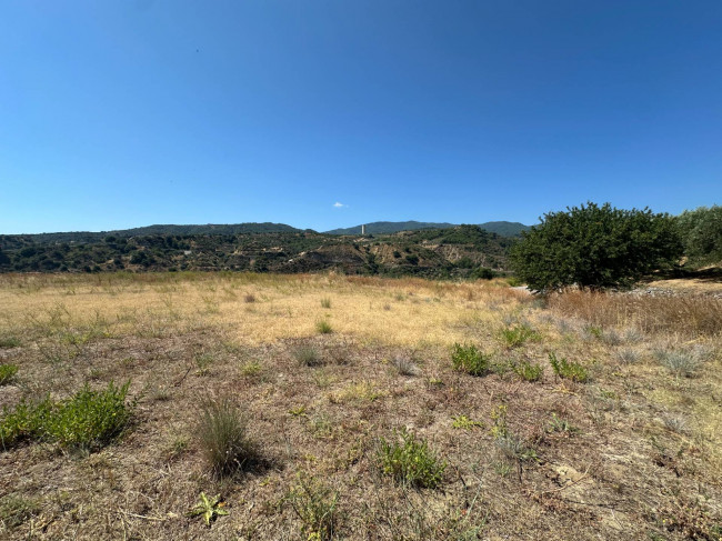 Terreno Agricolo in vendita a Satriano