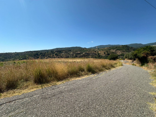 Terreno Agricolo in vendita a Satriano