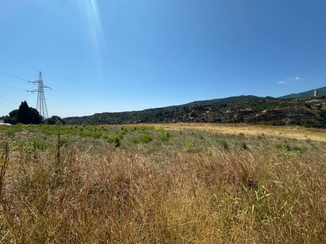 Terreno Agricolo in vendita a Satriano