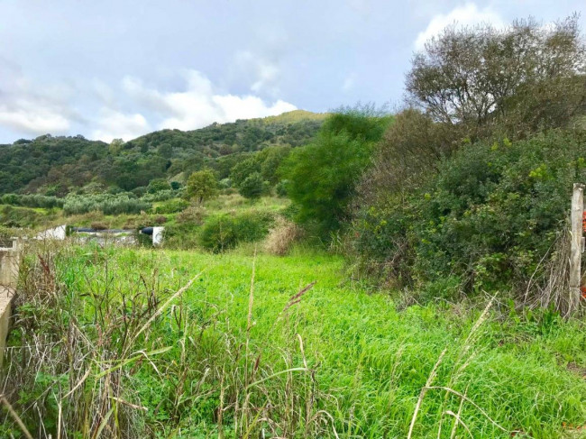 Terreno Agricolo in vendita a Gasperina