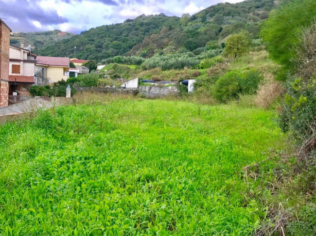 Terreno Agricolo in vendita a Gasperina