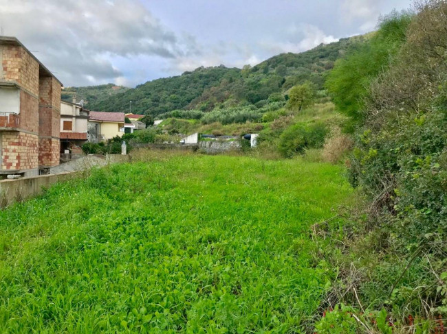 Terreno Agricolo in vendita a Gasperina