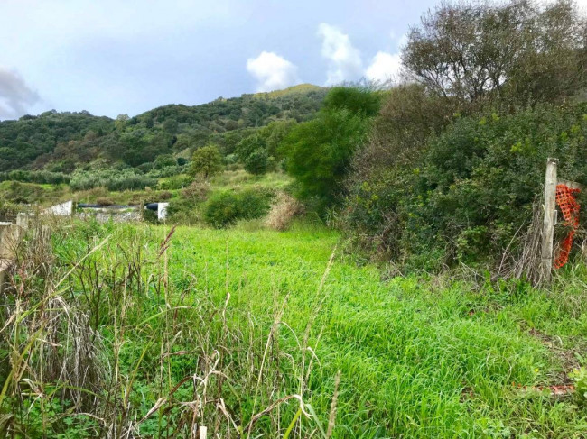 Terreno Agricolo in vendita a Gasperina