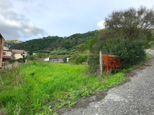 Terreno Agricolo in vendita a Gasperina