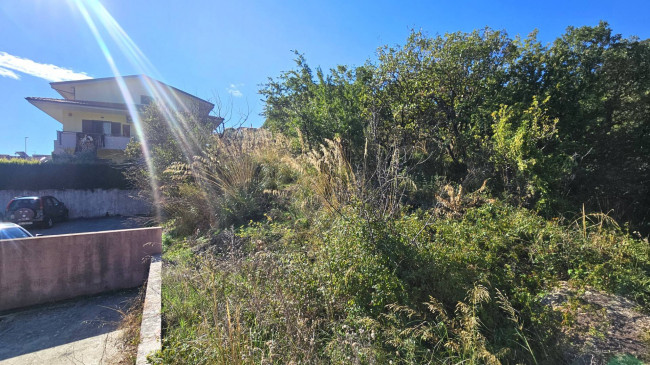 Terreno edificabile in vendita a Montepaone