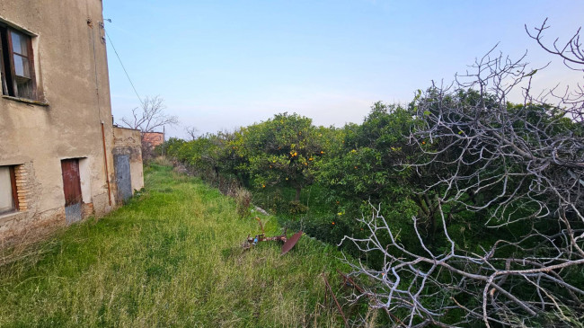 Rustico in vendita a Gasperina