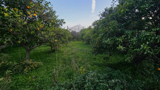 Rustico in vendita a Gasperina