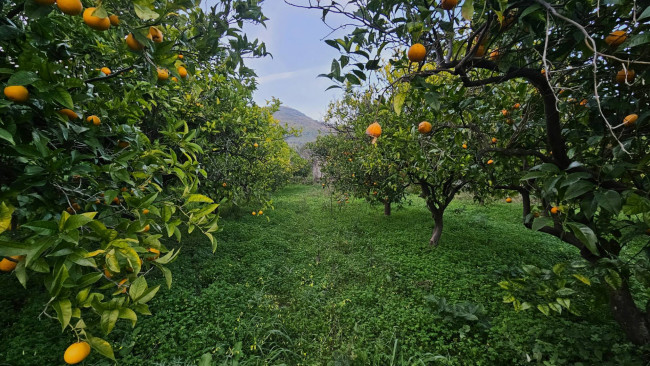 Rustico in vendita a Gasperina