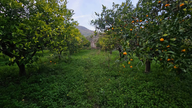 Rustico in vendita a Gasperina
