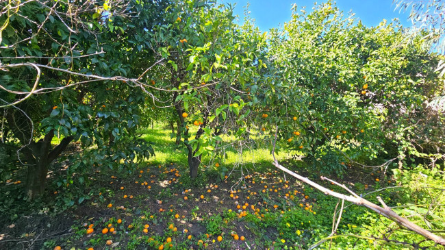 Terreno edificabile in vendita a Gasperina