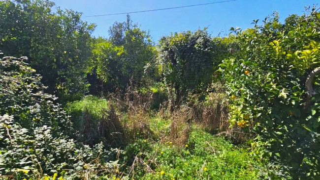 Terreno edificabile in vendita a Gasperina