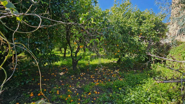 Terreno edificabile in vendita a Gasperina