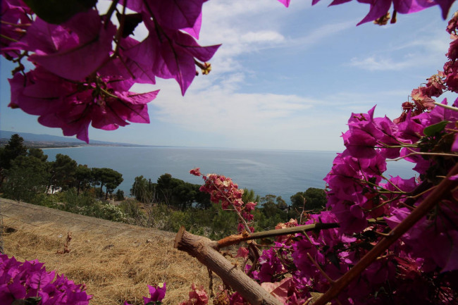 Appartamento in vendita a Stalettì