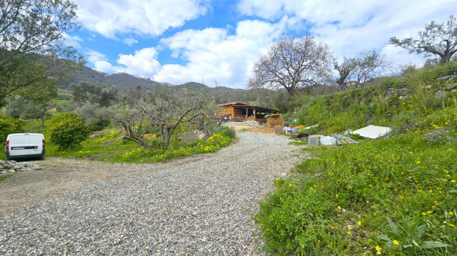 Terreno Agricolo in vendita a Montauro