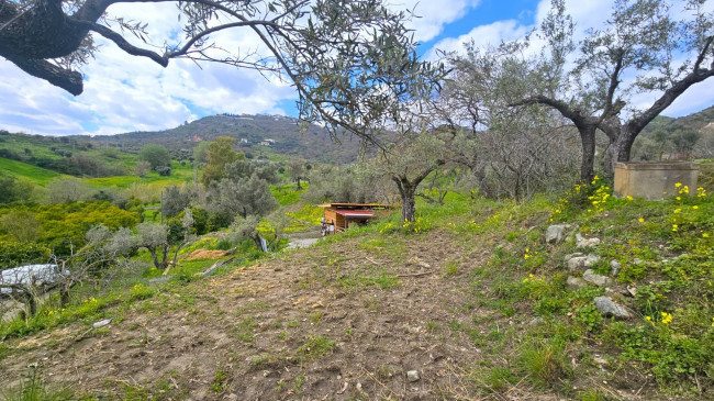 Terreno Agricolo in vendita a Montauro