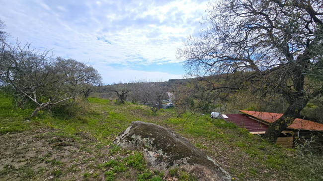 Terreno Agricolo in vendita a Montauro