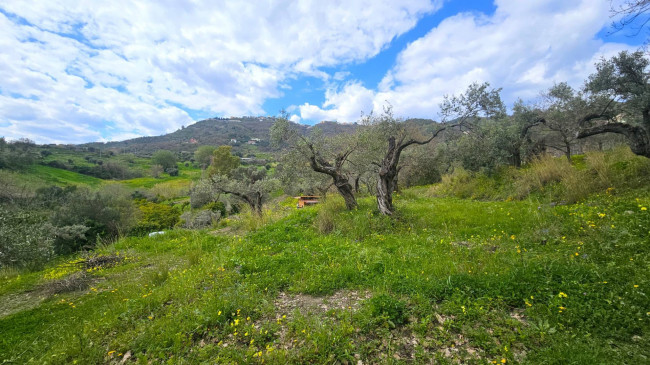 Terreno Agricolo in vendita a Montauro