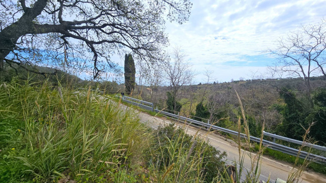 Terreno Agricolo in vendita a Montauro