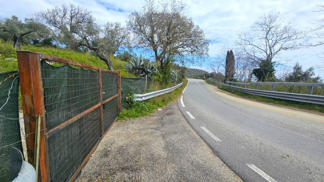Terreno Agricolo in vendita a Montauro