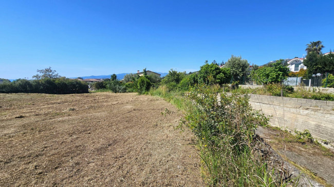 Terreno edificabile in vendita a Montauro
