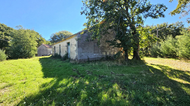 Rustico in vendita a Argusto
