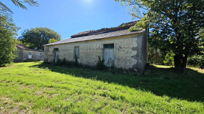 Rustico in vendita a Argusto