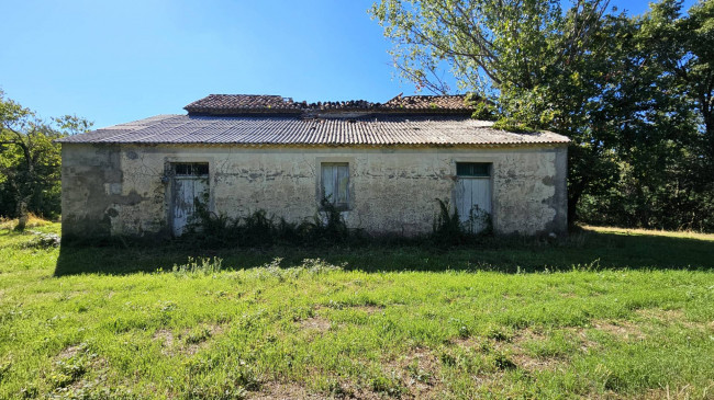 Rustico in vendita a Argusto