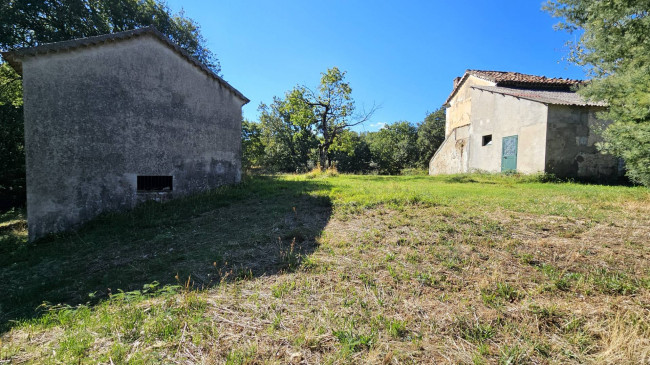 Rustico in vendita a Argusto