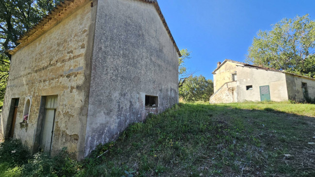 Rustico in vendita a Argusto