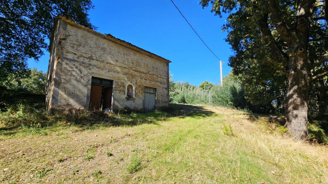 Rustico in vendita a Argusto