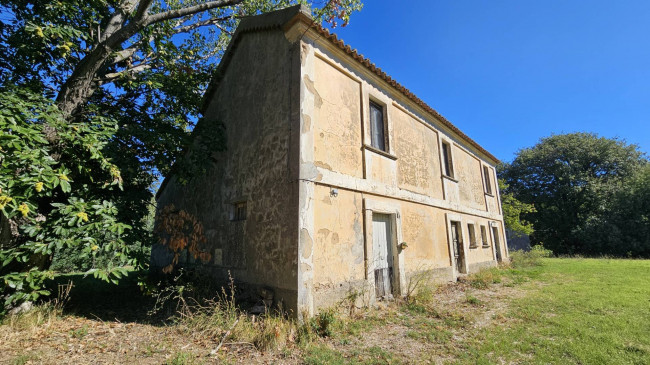 Rustico in vendita a Argusto
