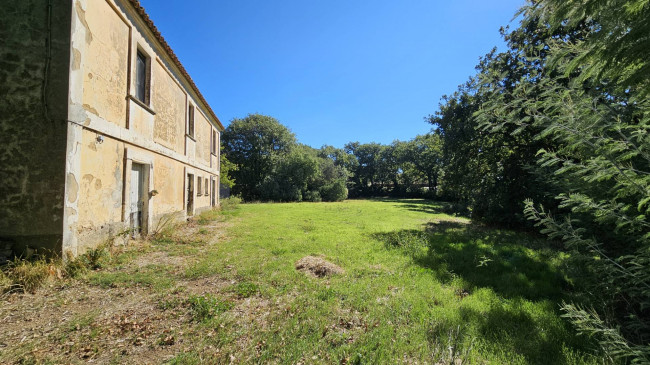 Rustico in vendita a Argusto