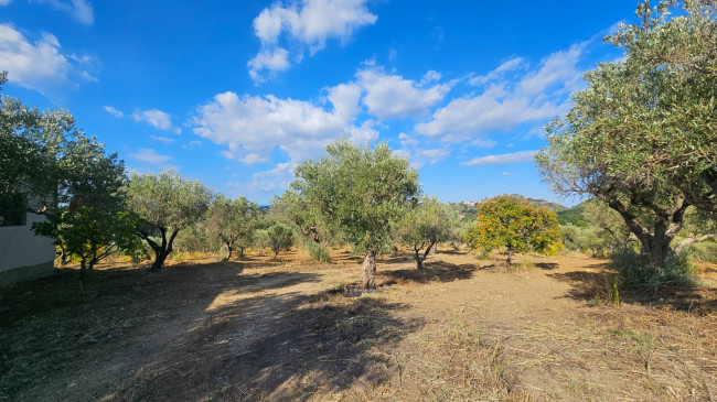 Terreno Agricolo in vendita a Squillace