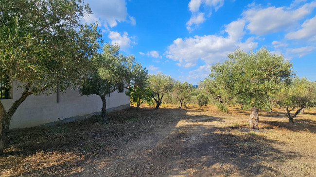 Terreno Agricolo in vendita a Squillace
